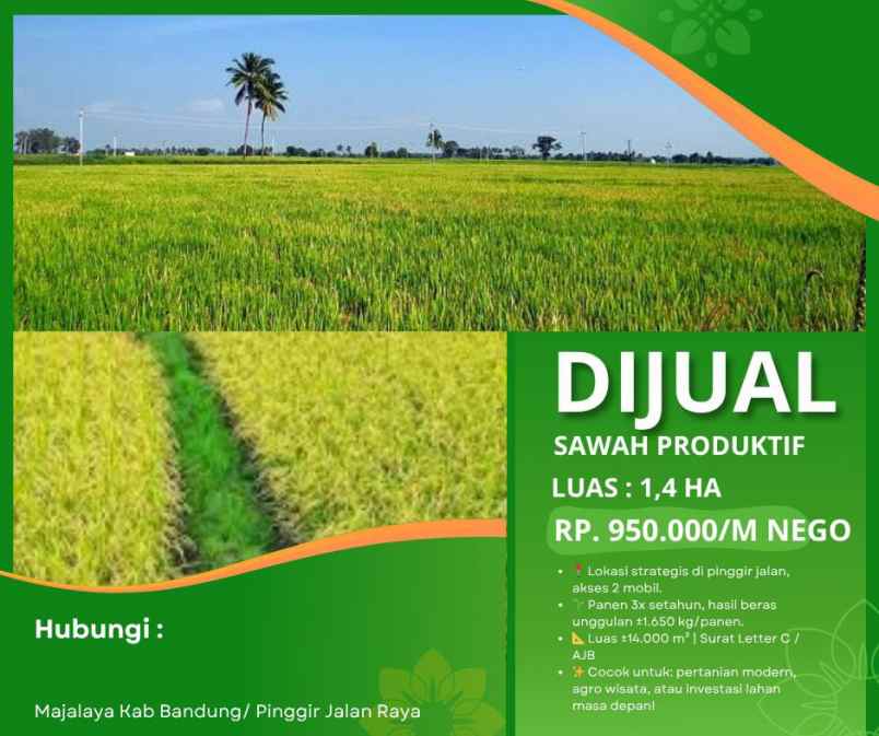 jual sawah milik gugum gumbira alm