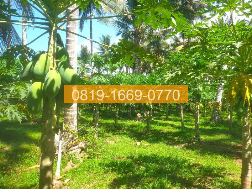 jual tanah denpasar gilimanuk 10575m2 94fe06