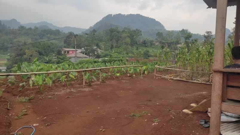 jual tanah kebun nempel jalan kabupaten