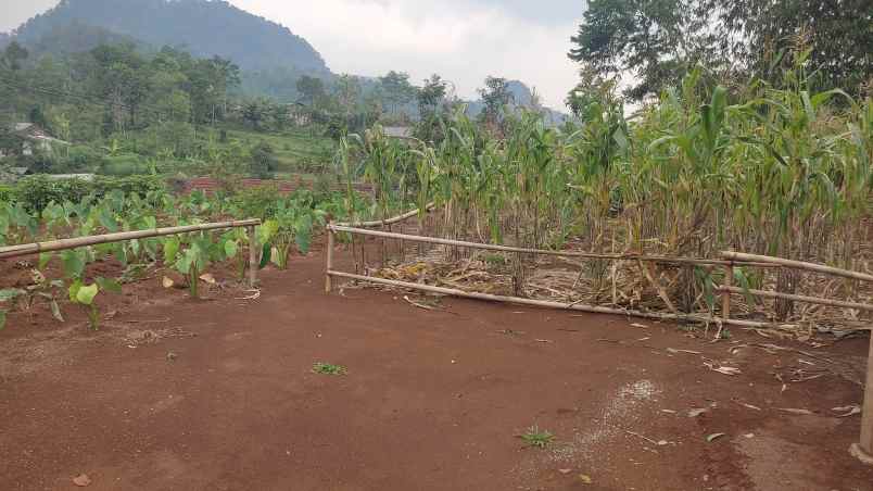 jual tanah kebun nempel jalan kabupaten