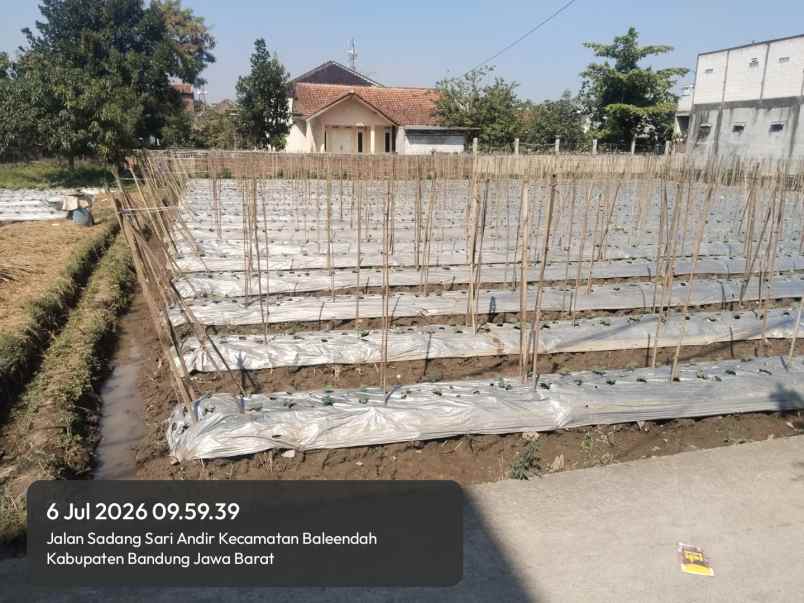 jual tanah pinggir jalan