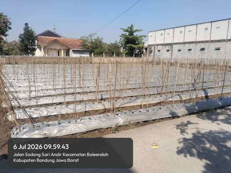 jual tanah pinggir jalan