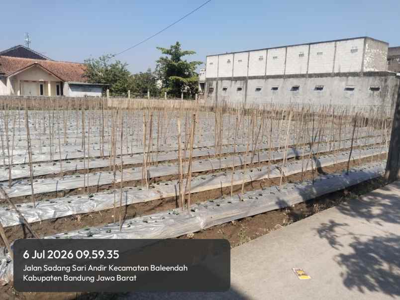 jual tanah pinggir jalan