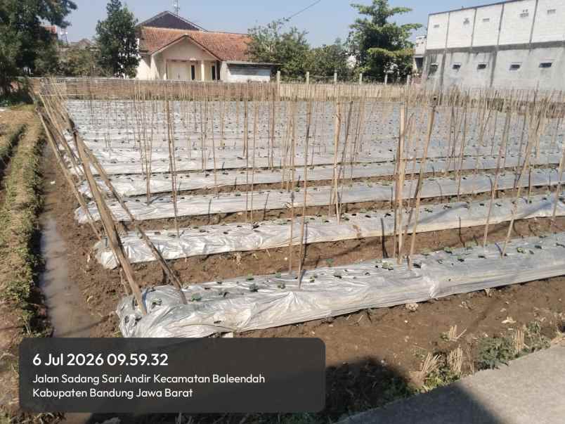 jual tanah pinggir jalan