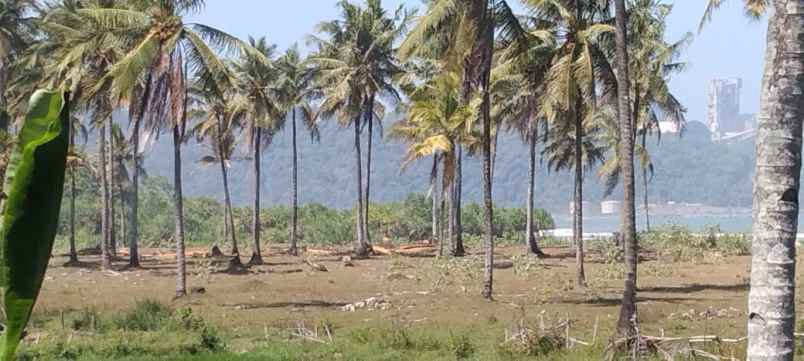 jual tanah pinggir pantai banten