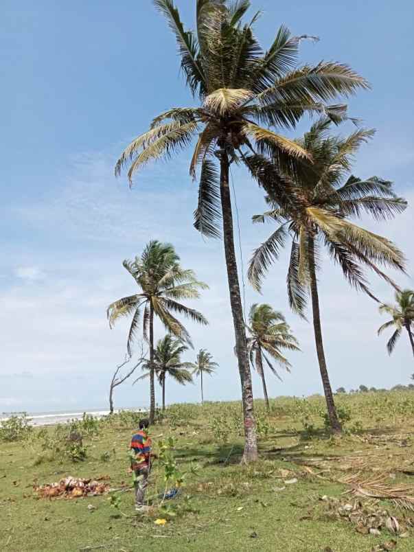 jual tanah pinggir pantai banten