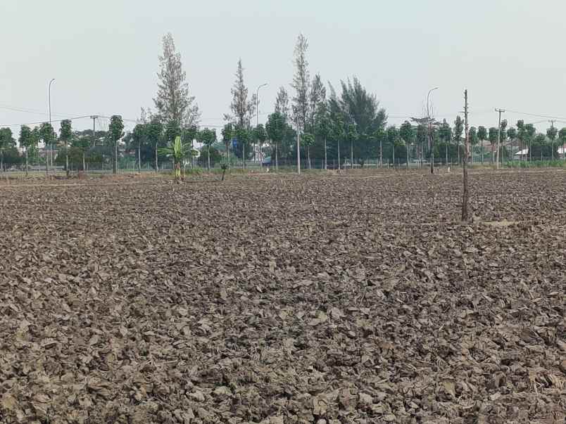 jual zepat tanah komersil dekat bandara kertajati