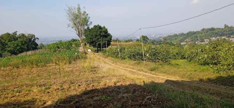 lahan kuning kota batu malang