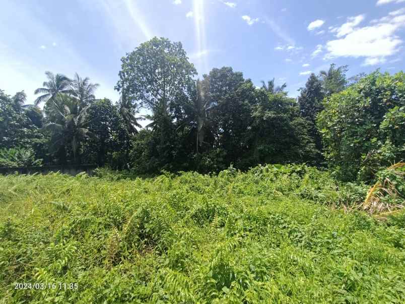 land for leasehold in main road tirta tawar ubud