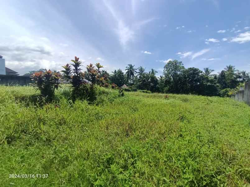 land for leasehold in main road tirta tawar ubud