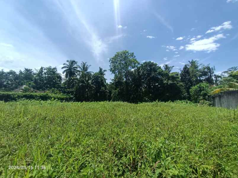 land for leasehold in main road tirta tawar ubud