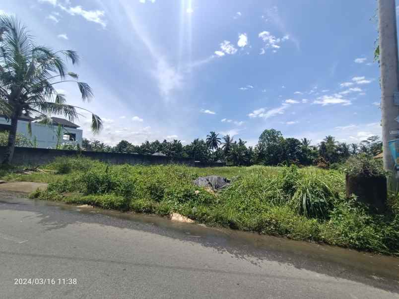 land for leasehold in main road tirta tawar ubud