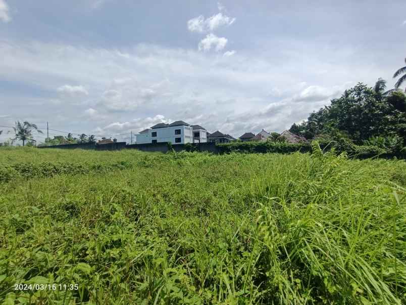 land for leasehold in main road tirta tawar ubud