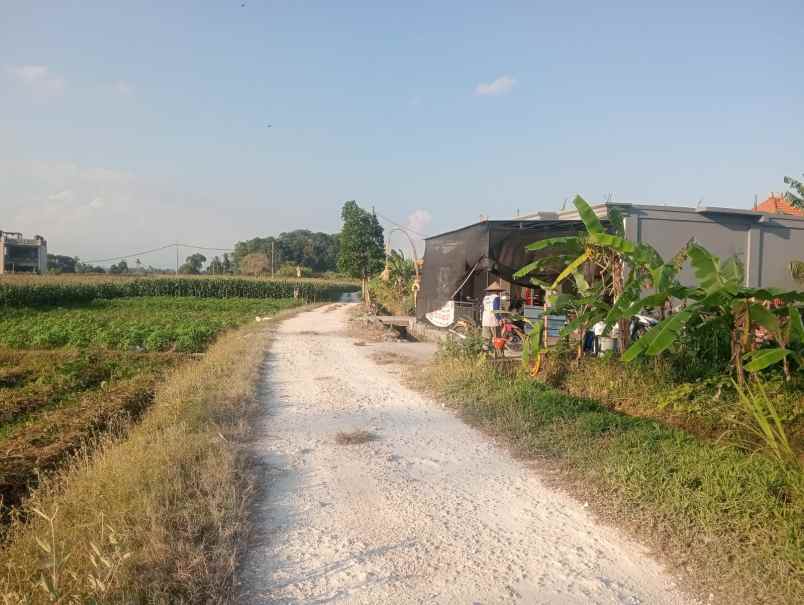 langka di tabanan dapatkan tanah view laut langsung