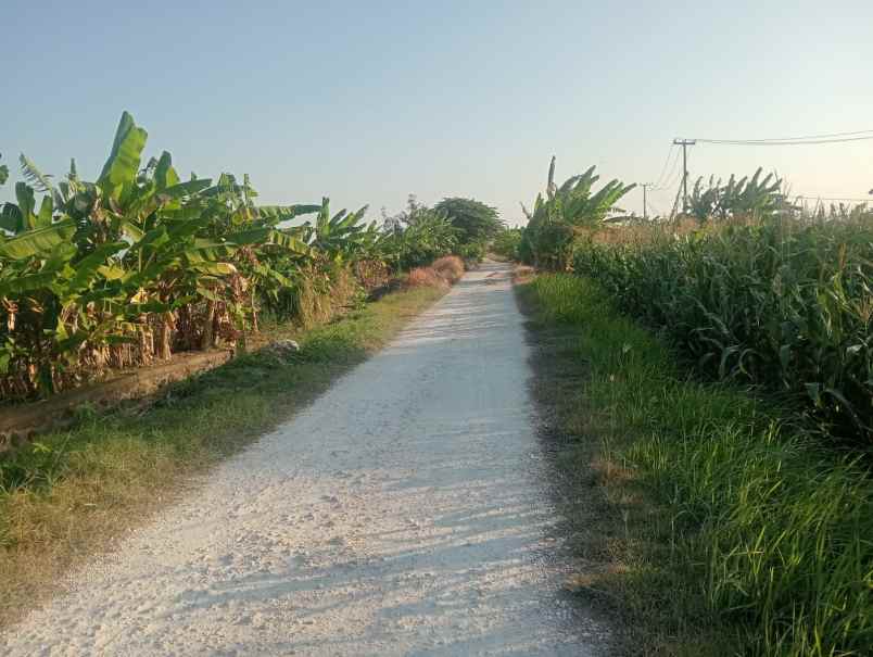 langka di tabanan dapatkan tanah view laut langsung