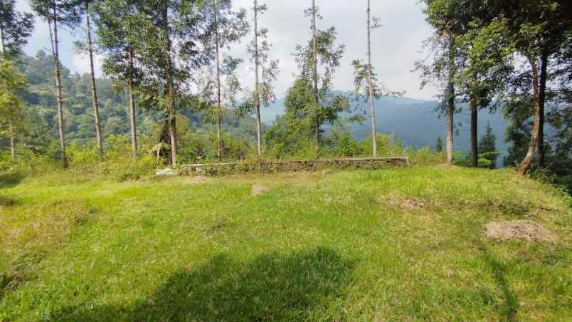 lokasi tanah di mega mendung bogor