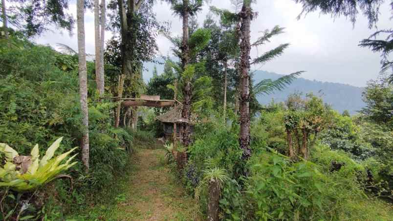 lokasi tanah di mega mendung bogor