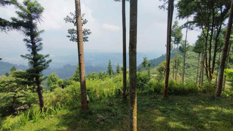 lokasi tanah di mega mendung bogor
