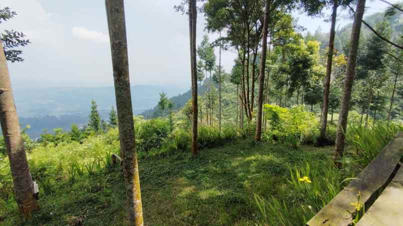 lokasi tanah di mega mendung bogor