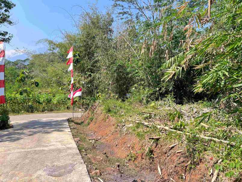 pekarangan datar 5783m timur pasar mojogedang