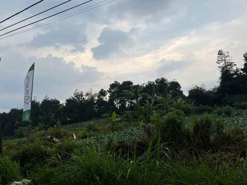 rumah lemang asri