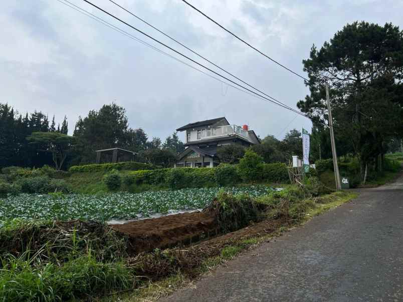 rumah lemang asri