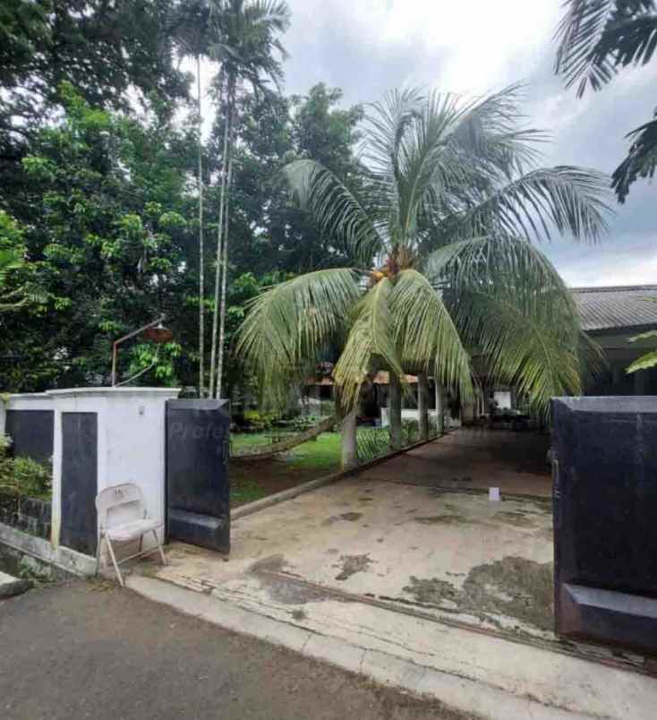 rumah mewah asri di jakarta selatan