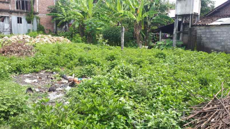 rumah termurah di kawasan umy yogyakarta