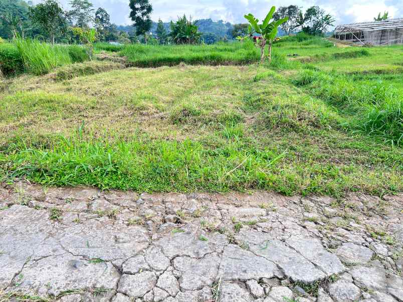 tanah 1285m view istimewa kawasan wisata ngargoyoso