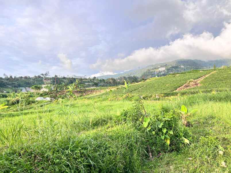 tanah 1285m view istimewa kawasan wisata ngargoyoso