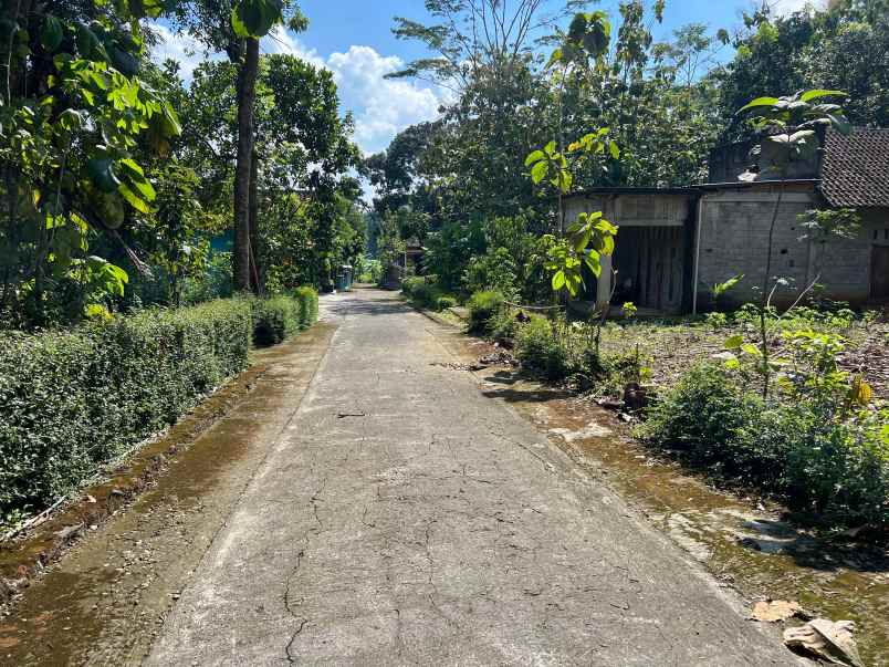 tanah 200 jt cocok untuk hunian mojogedang