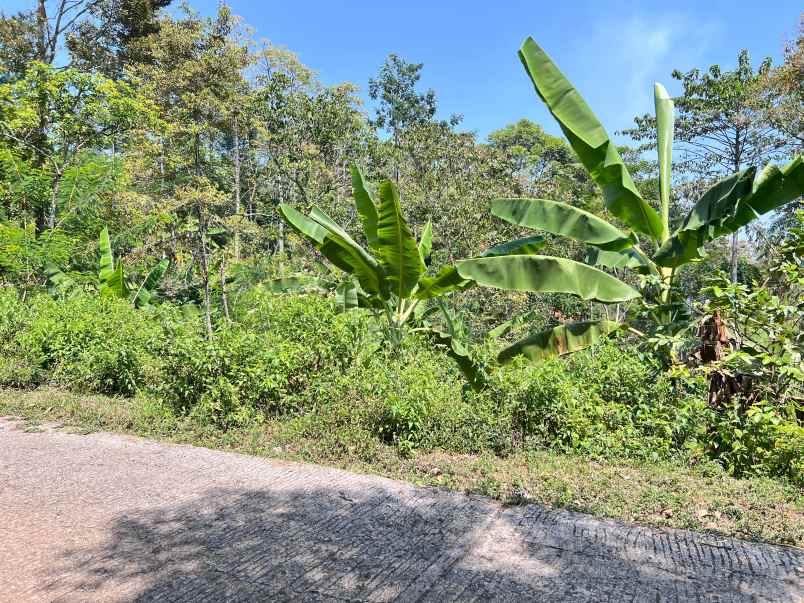 tanah 200 juta lingkungan wisata ngargoyoso