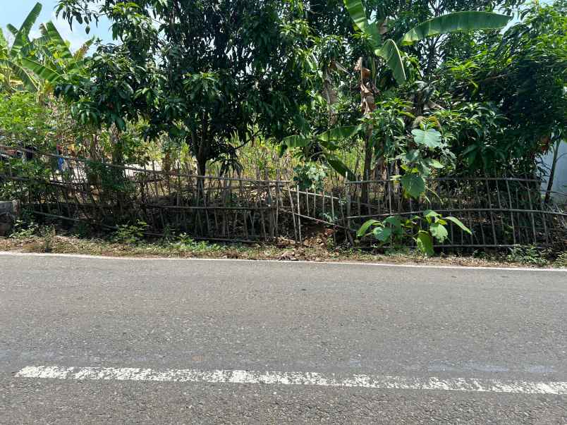 tanah 300 juta tepi jl raya kedawung sragen