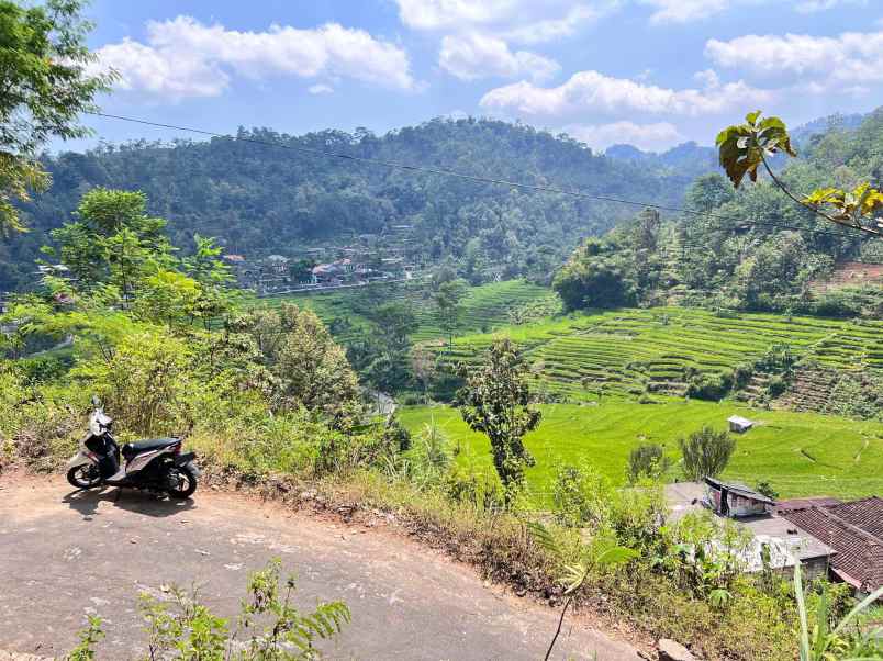 tanah 3500m view hamparan sawah ngargoyoso