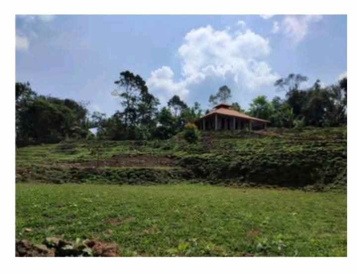 tanah bangunan kandang sapi 1000 ekor