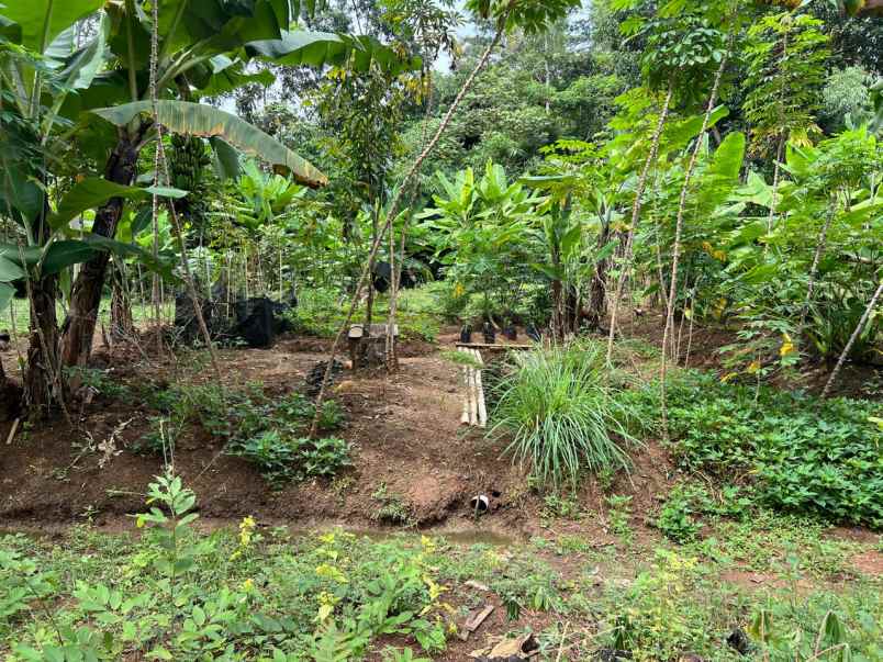 tanah datar 45 juta siap bangun kerjo karanganyar