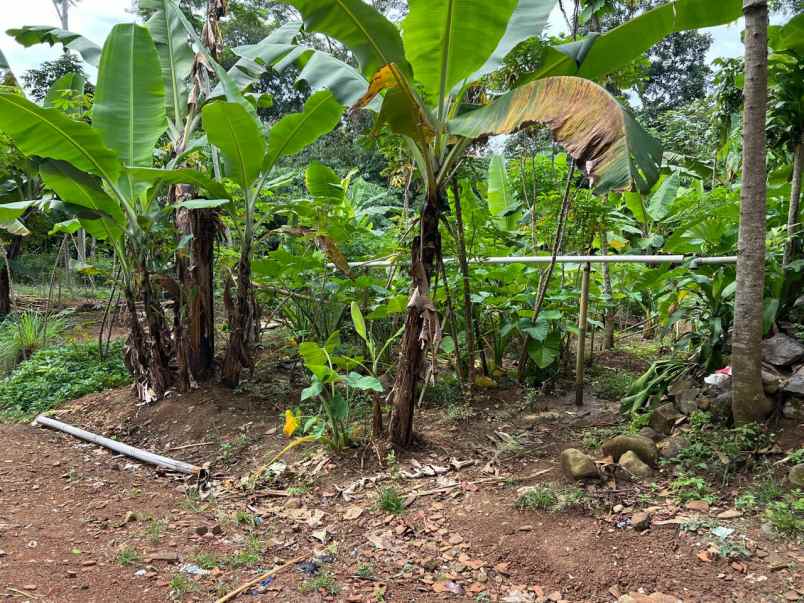 tanah datar 45 juta siap bangun kerjo karanganyar