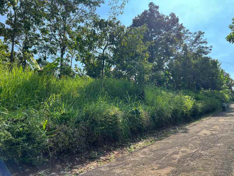 tanah datar hanya 300rb m mojogedang karanganyar