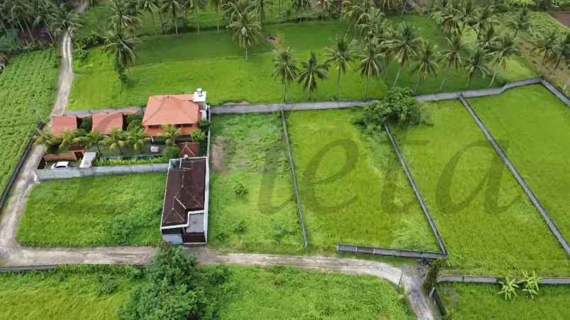 tanah dekat central ubud desa lodtunduh