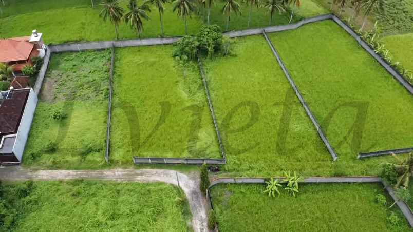 tanah dekat central ubud desa lodtunduh