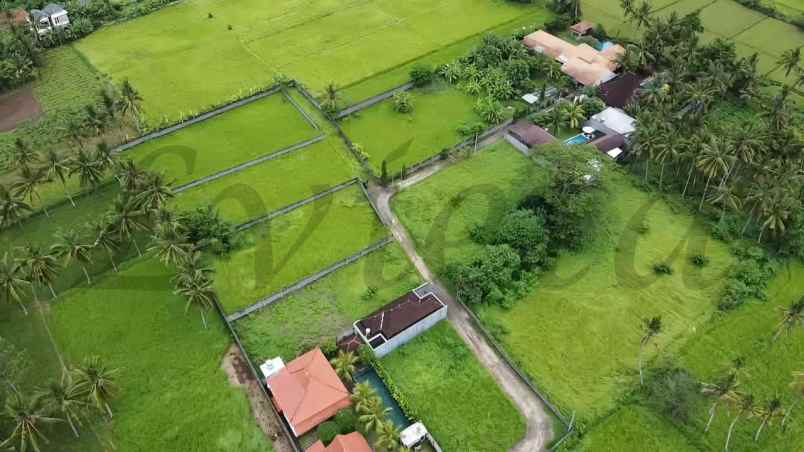 tanah dekat central ubud desa lodtunduh