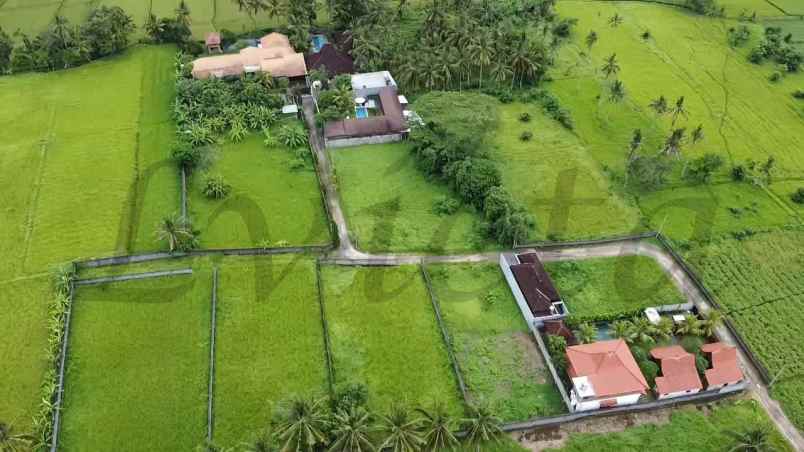 tanah dekat central ubud desa lodtunduh