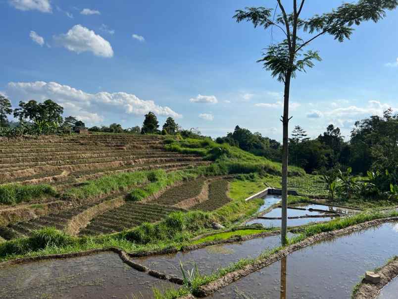 tanah dekat sungai kemuning karanganyar