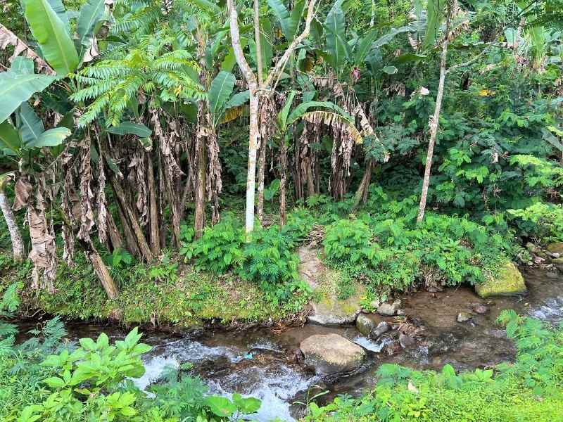 tanah istimewa dekat sungai kemuning karanganyar