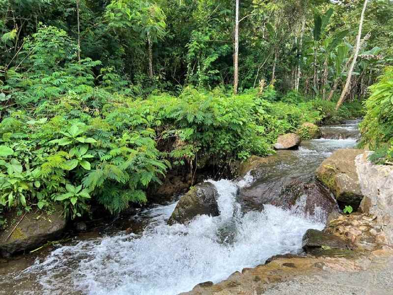 tanah istimewa dekat sungai kemuning karanganyar