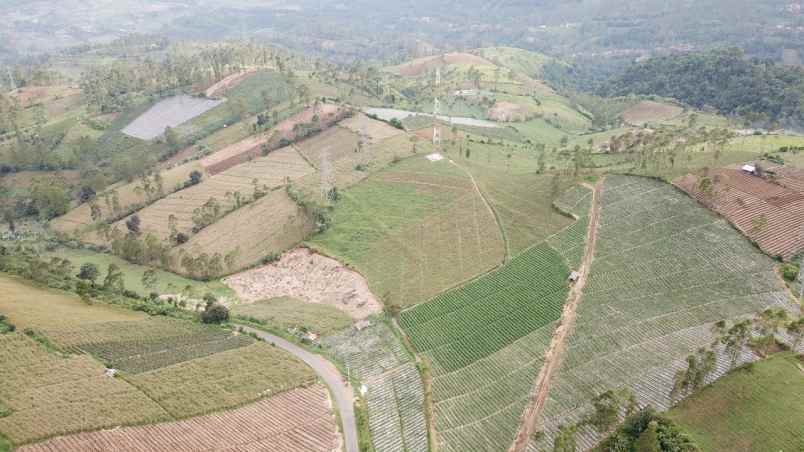 tanah kavling villa di kamojang paradise garut