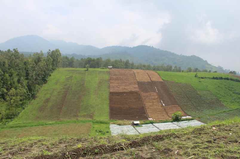 tanah kavling villa di kamojang paradise garut