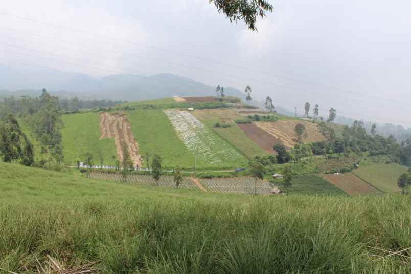 tanah kavling villa di kamojang paradise garut