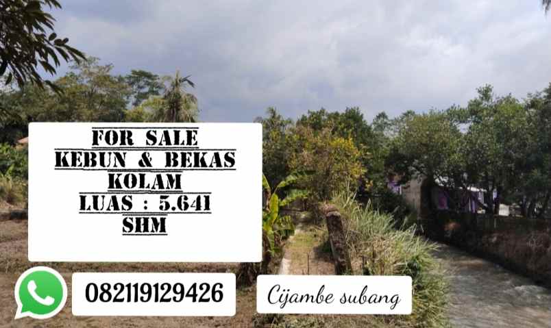 tanah kebun bekas kolam dekat sungai subang jawa barat