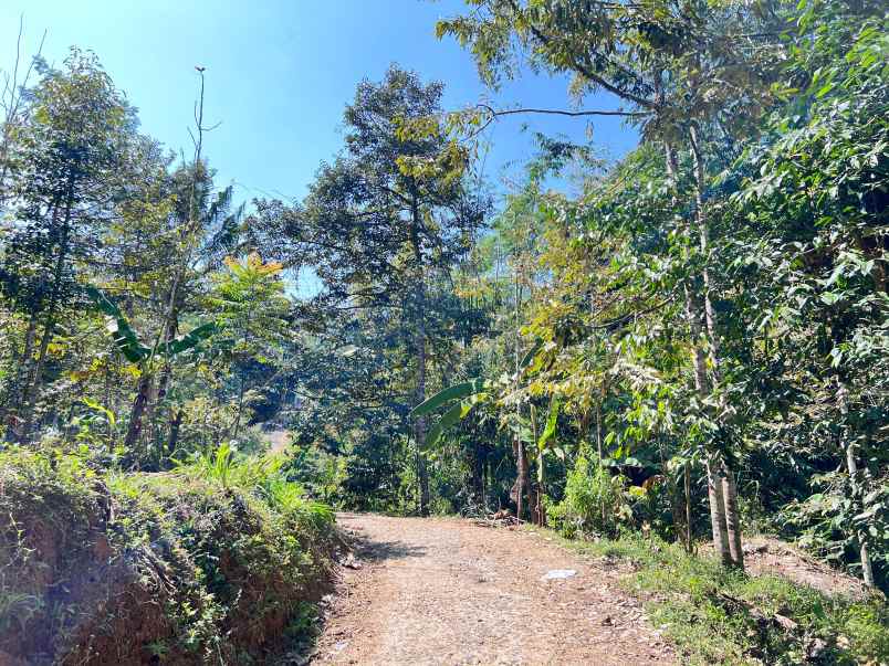 tanah kebun durian 1000m kemuning ngargoyoso